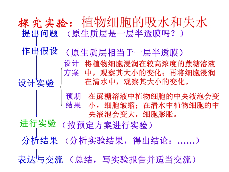 生物质壁分离与复原的实验.ppt_第2页