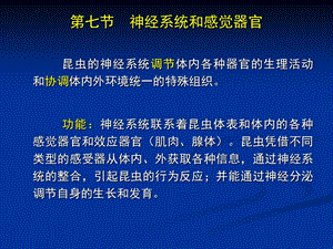 昆虫学课件第四章昆虫的神经系统和感觉器官.ppt