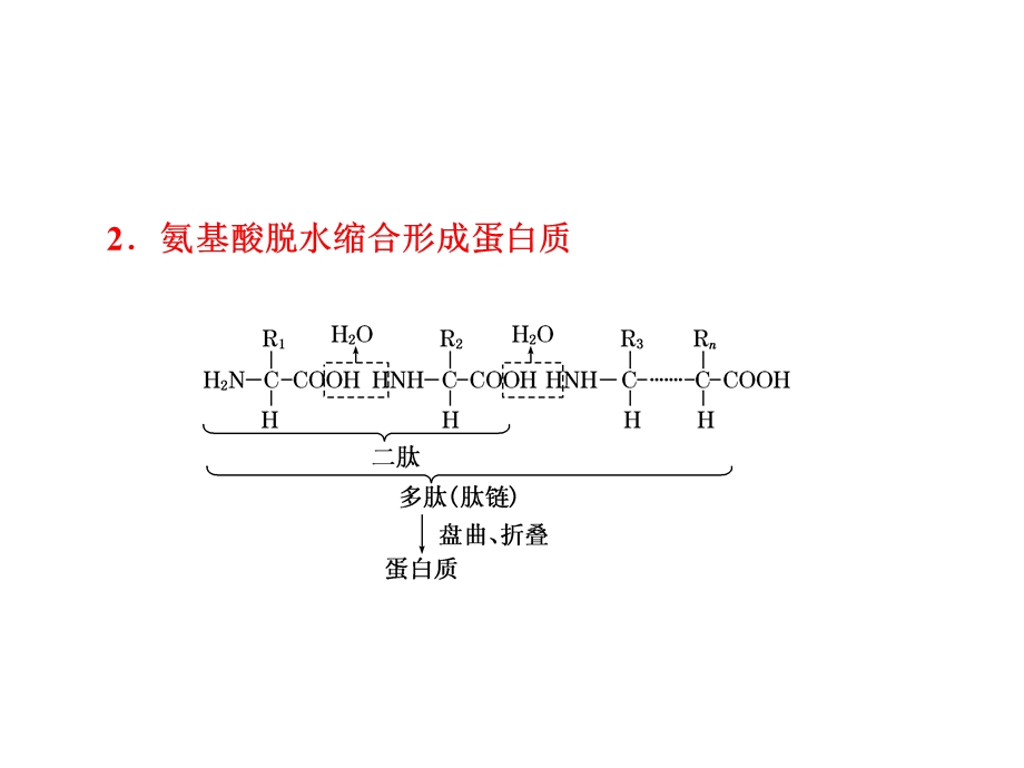 生命活动的主要承担者-蛋白质教材.ppt_第2页