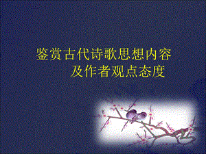 思想内容及观点态度.ppt