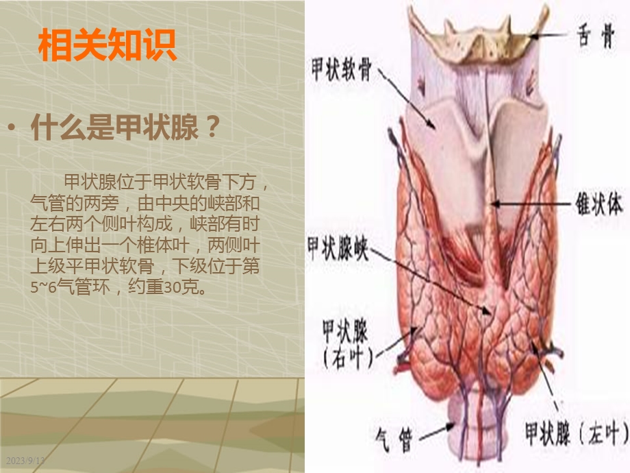 甲状腺外科护理查房.ppt_第3页