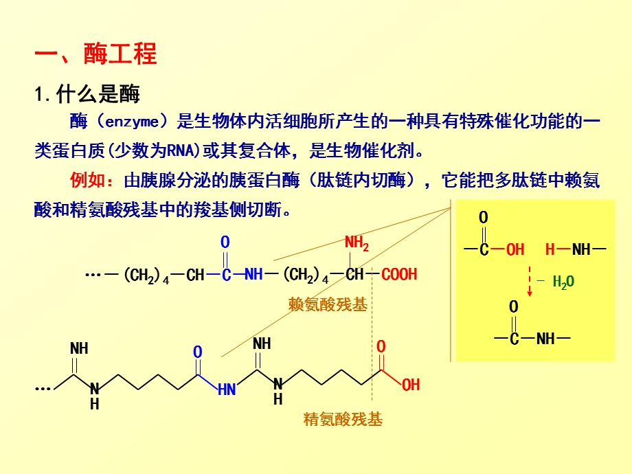 第一节酶工程概述.ppt_第3页