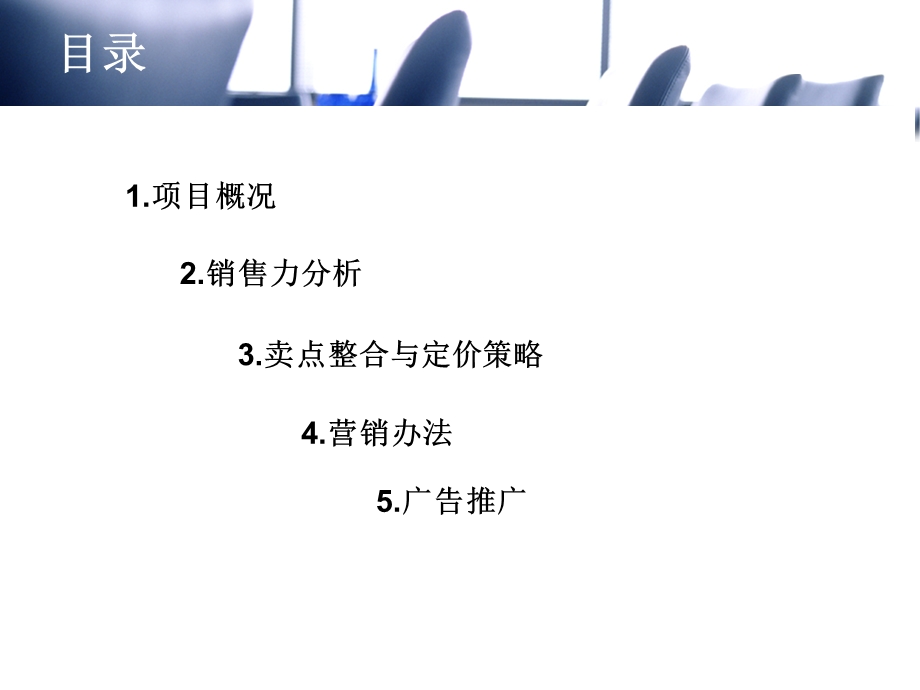 房地产项目营销策划报告.ppt_第2页