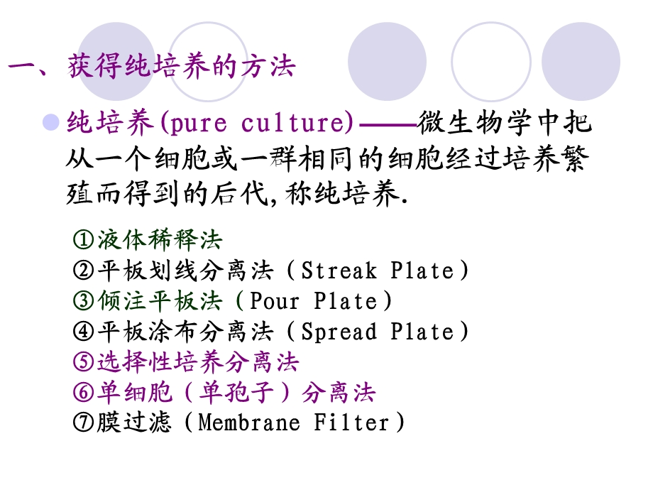 生长与繁殖的概念.ppt_第3页