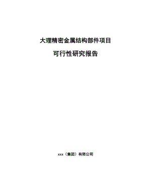 大理精密金属结构部件项目可行性研究报告.docx