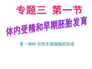 生殖细胞的形成.ppt