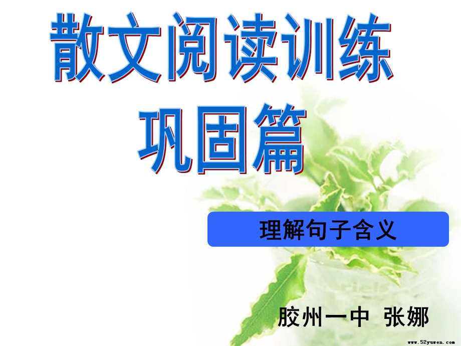 理解重要句子的含义巩固.ppt_第1页