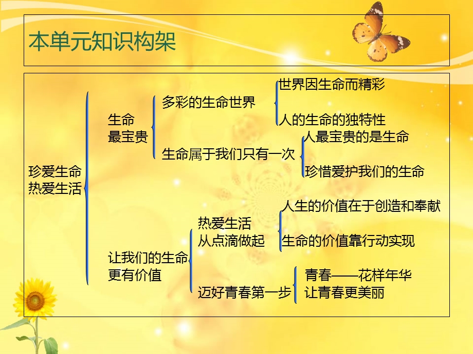 珍爱生命热爱生活.ppt_第2页