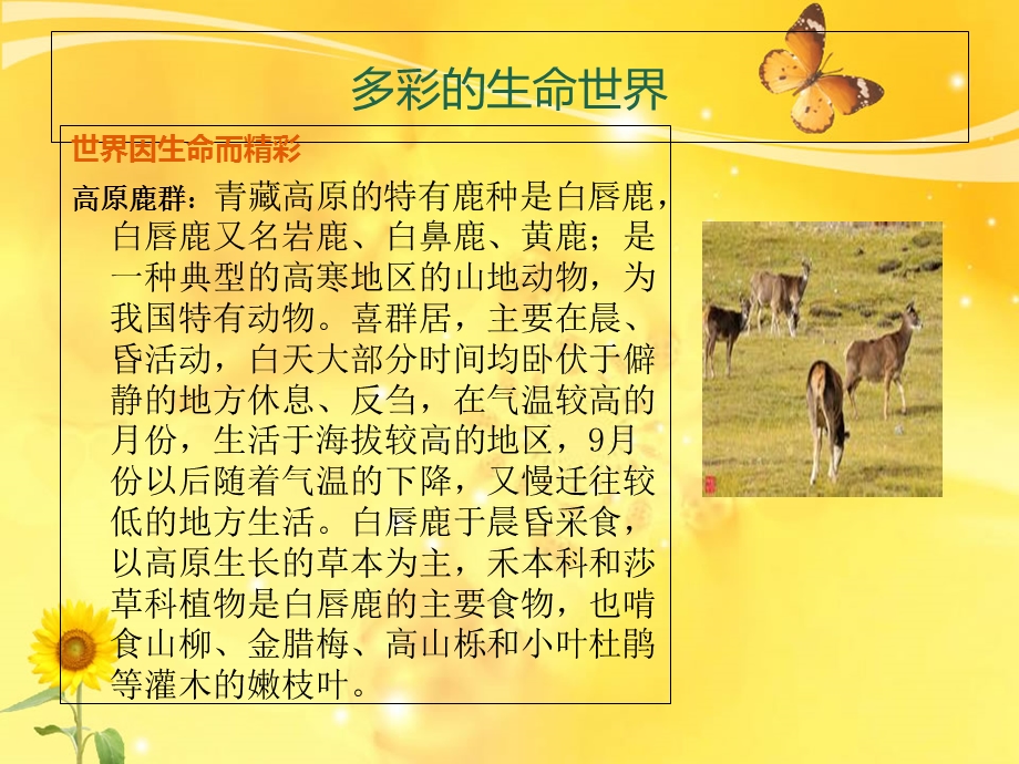 珍爱生命热爱生活.ppt_第3页