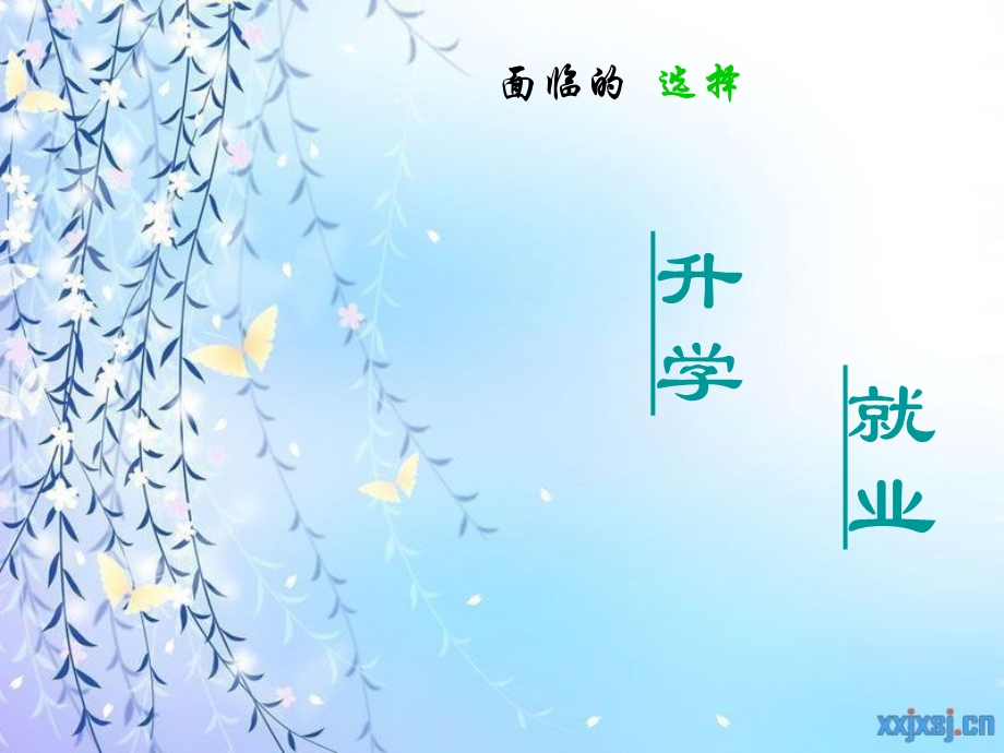 服装专业主题班会.ppt_第3页