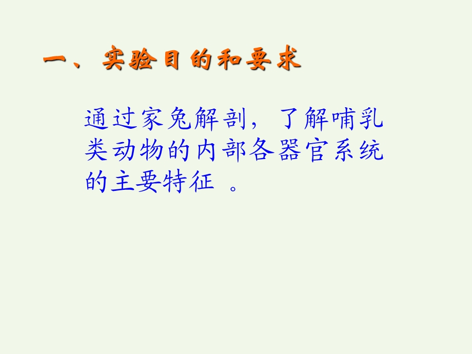 家兔的形态与结构.ppt_第2页