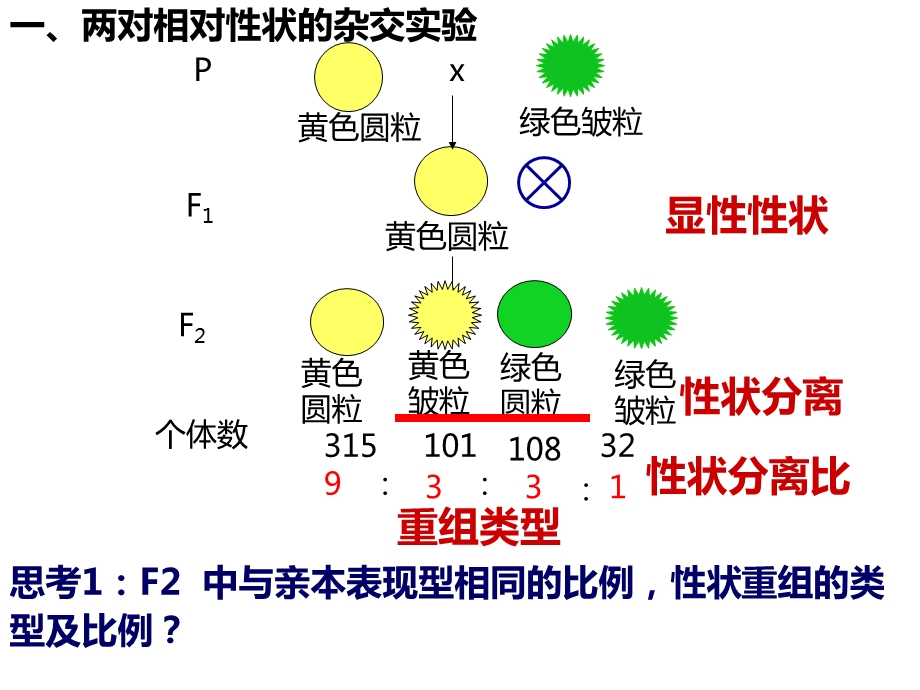 生物孟德尔豌豆杂交实验二(上新课用).ppt_第2页