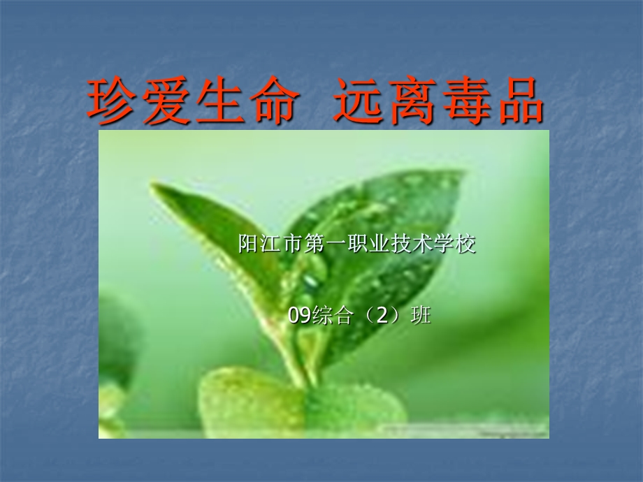 珍惜生命远离毒品.ppt_第1页