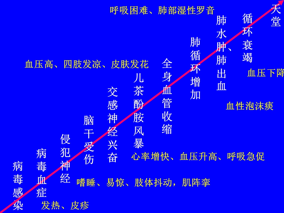 手足口病-对儿科医生的全面考量.ppt_第3页