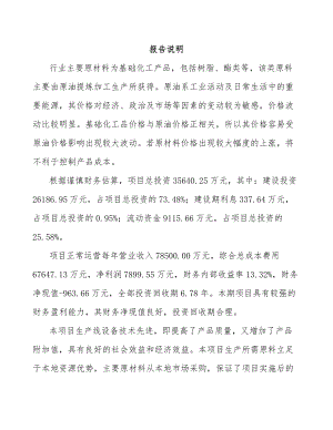 大理水性涂料项目可行性研究报告.docx