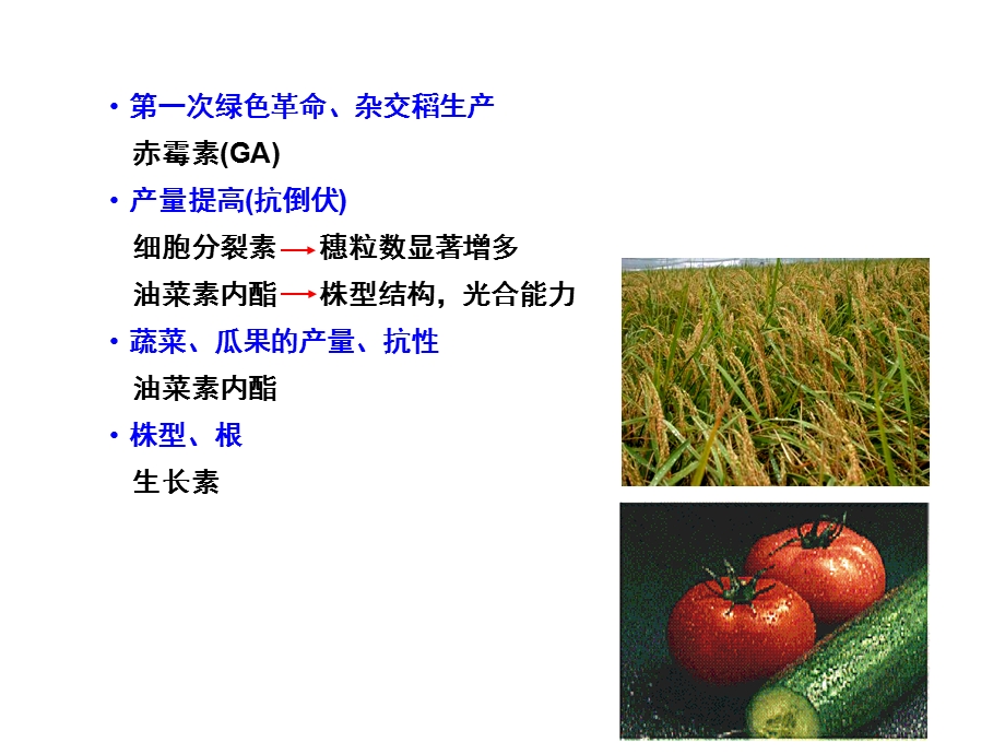 植物激素的作用机理.ppt_第3页