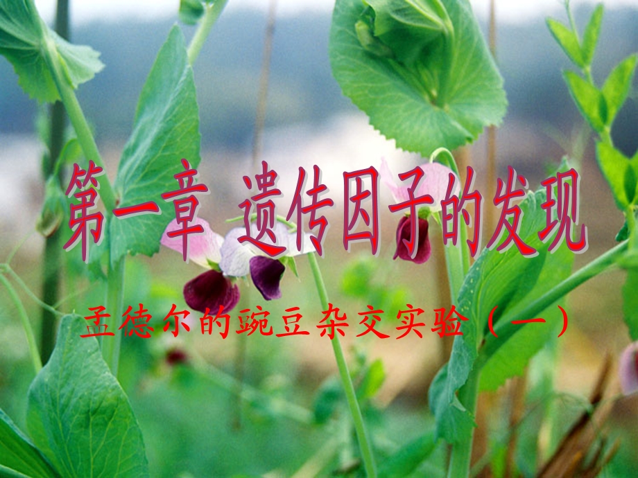 生物第二册第一节课件.ppt_第1页