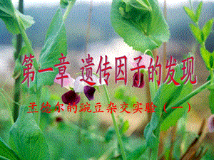 生物第二册第一节课件.ppt