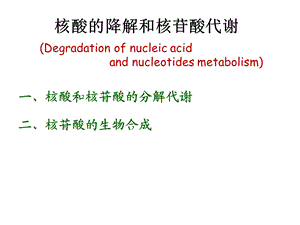 生物化学ii(苏维恒)核酸的降解与核苷酸代谢.ppt