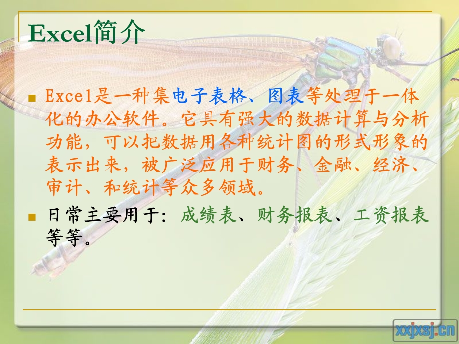 1.1excel初步介绍.ppt_第2页