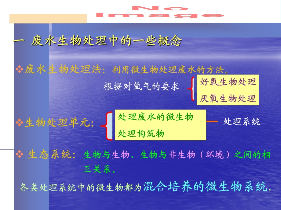 水处理微生物课件第十章.ppt_第2页