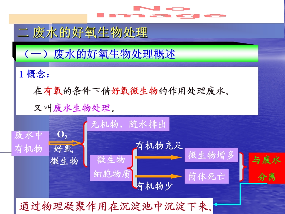 水处理微生物课件第十章.ppt_第3页