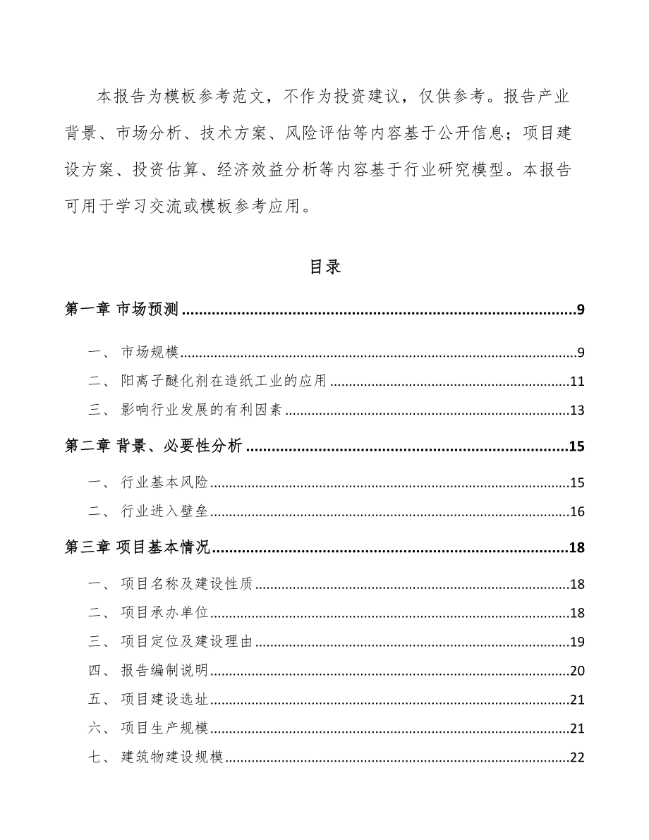 大理醚化剂项目可行性研究报告.docx_第2页