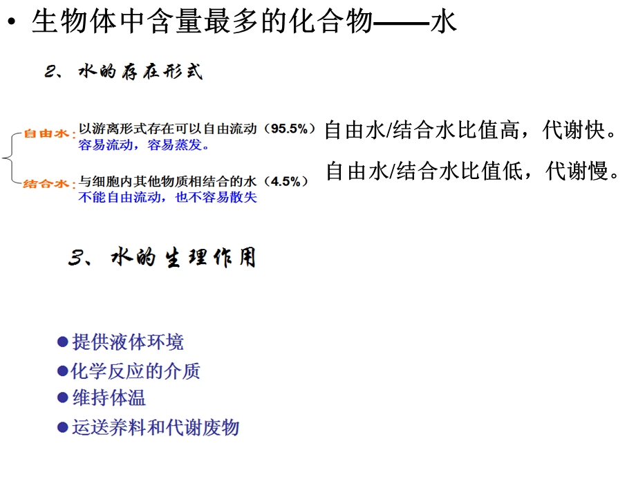 生物第一册知识点上海.ppt_第3页