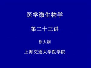 第虫媒病毒,疱疹病毒 ppt课件.ppt