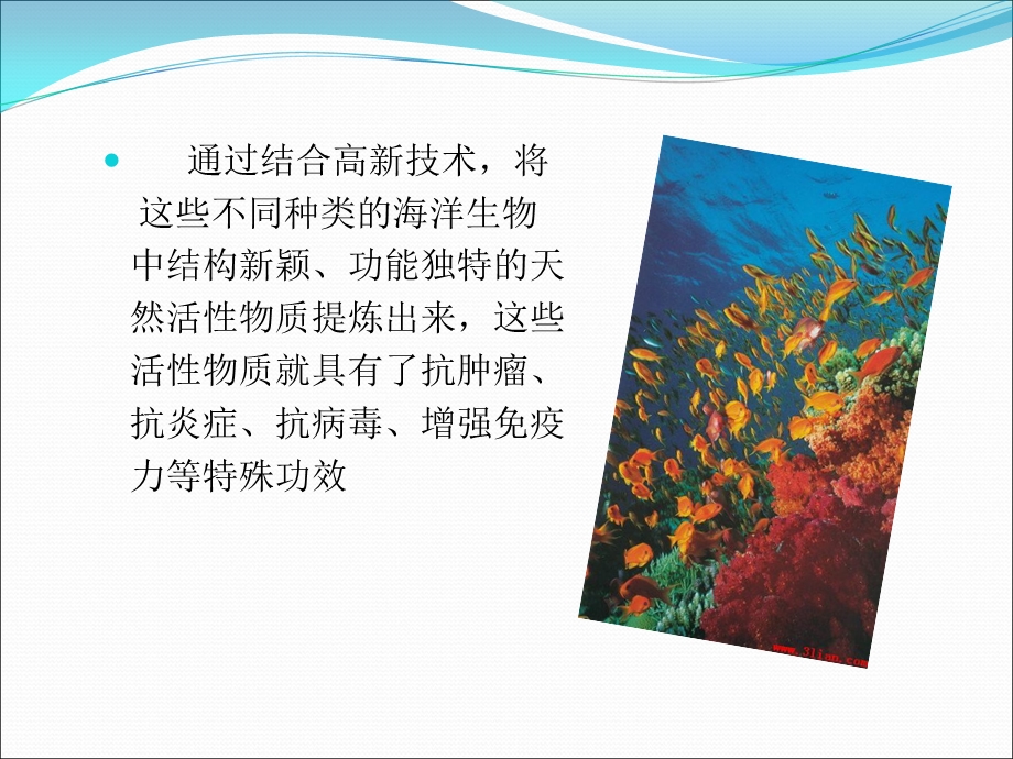 海洋生物药用开发与利用.ppt_第3页