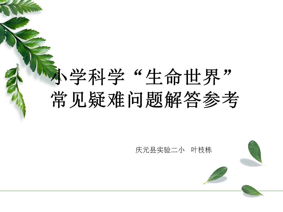 生命世界叶枝栋PPT.ppt_第1页