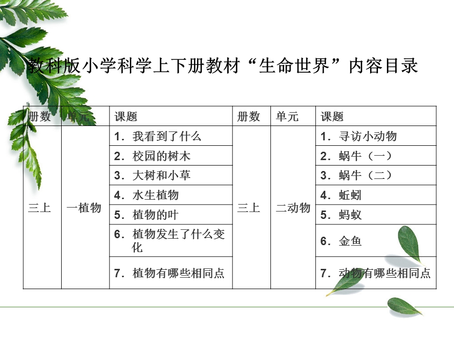 生命世界叶枝栋PPT.ppt_第3页