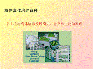 植物离体培养育种.ppt