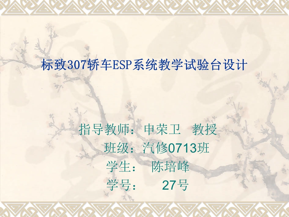 标致307轿车ESP系统.ppt_第1页