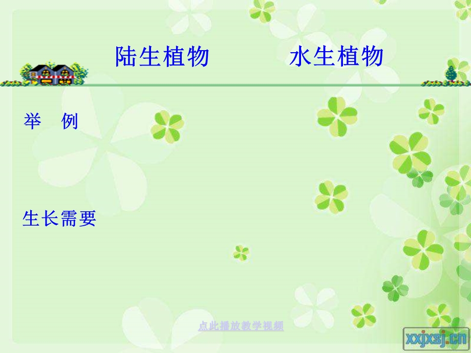 植物的共同特点.ppt_第2页