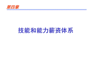 技能和能力薪酬体系.ppt