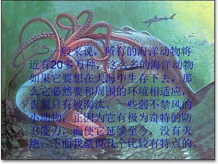 海洋世界千奇百怪.ppt_第2页