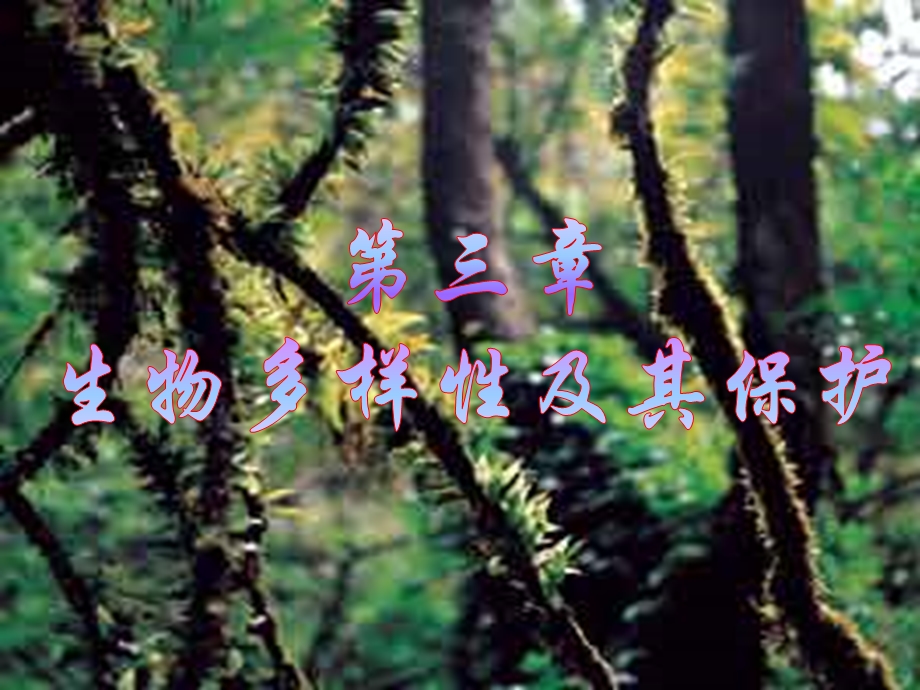 生物多样性及其保护.ppt_第1页