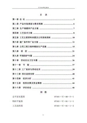 2000taMIPK甲基异丙基酮项目可行性研究报告.doc