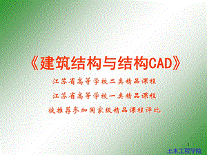 建筑结构与结构CAD教学.ppt