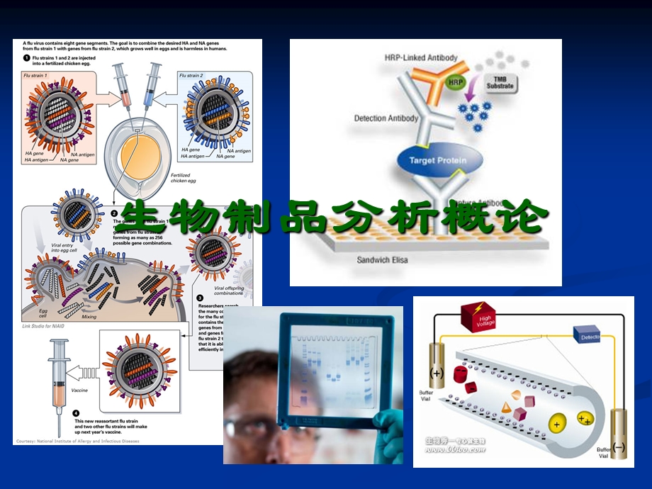 生物制品分析llq.ppt_第1页