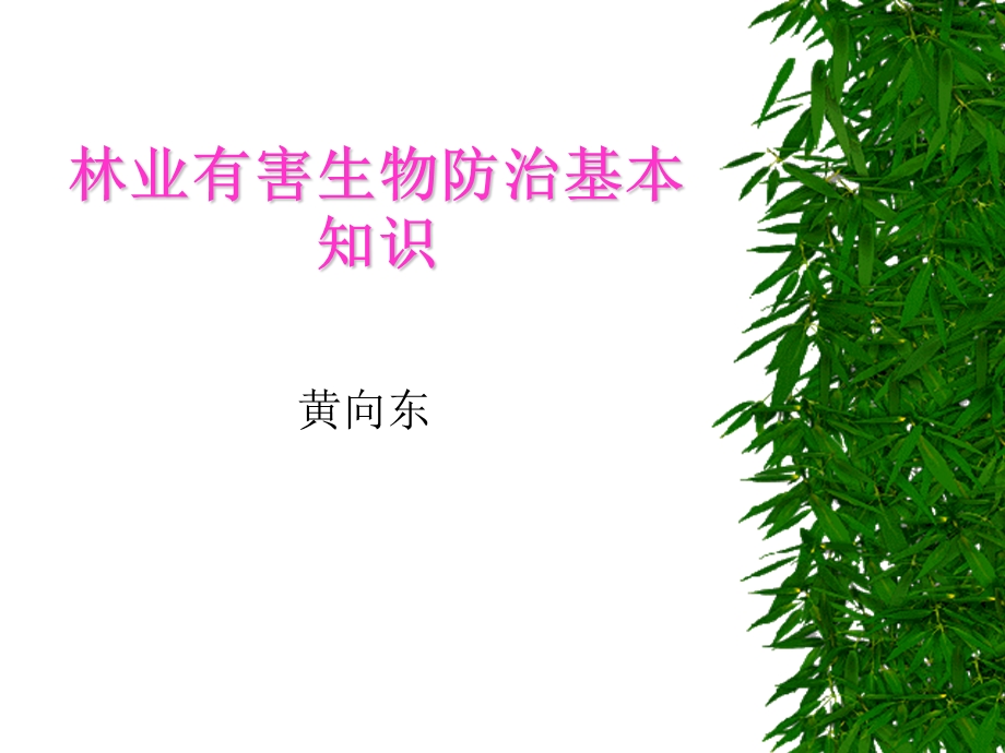 林业有害生物防治基本知识.ppt_第1页