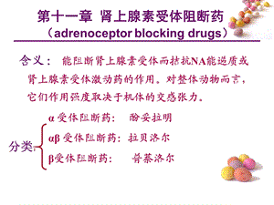 第十一章 肾上腺素受体阻断药.ppt