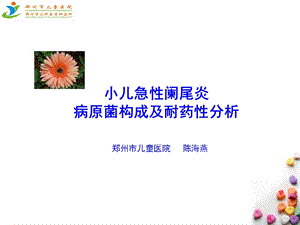 小儿急性阑尾炎病原菌构成及耐药性研究.ppt