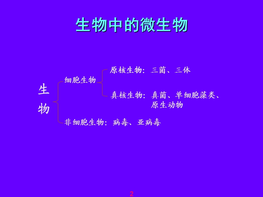 环境工程微生物学-病毒(NXPowerLite).ppt_第2页