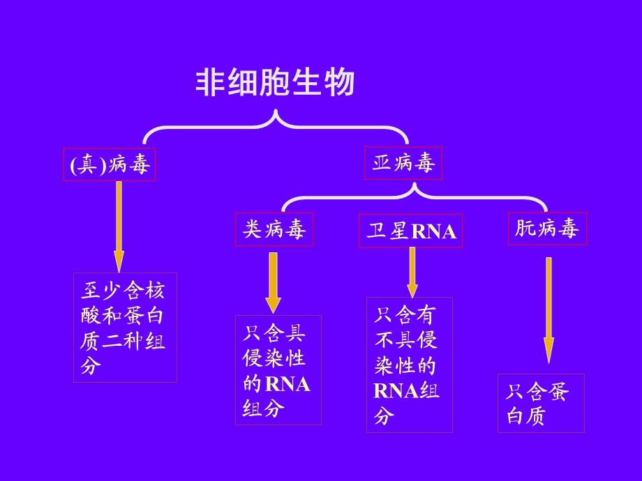 环境工程微生物学-病毒(NXPowerLite).ppt_第3页