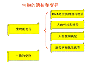 第十三讲遗传变异.ppt