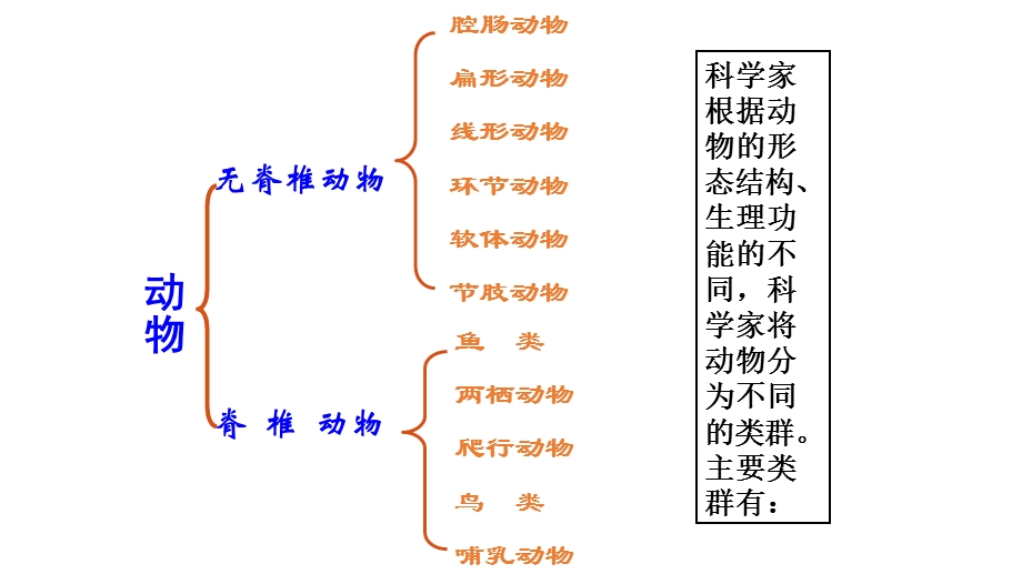 生物上册第一章第一节.ppt_第3页