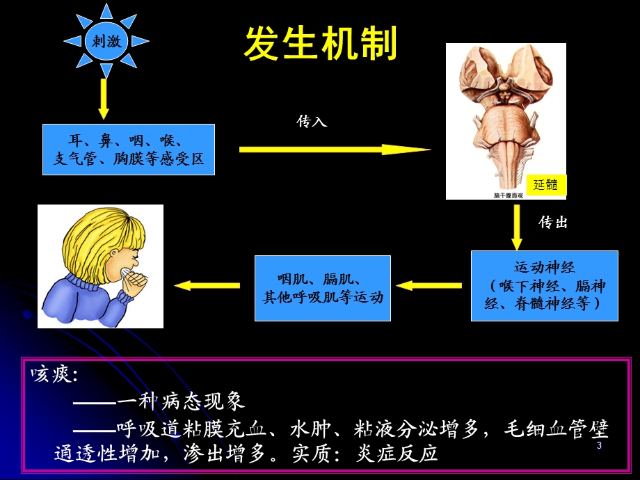 诊断学课件：咳嗽与咳痰.ppt_第3页