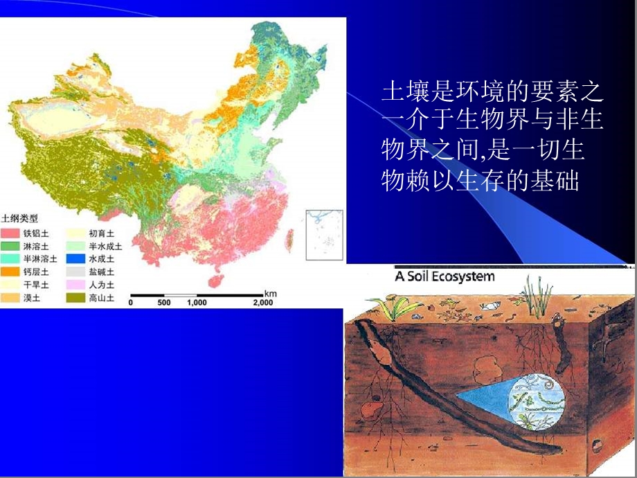 环境化学之土壤(NXPowerLite).ppt_第2页